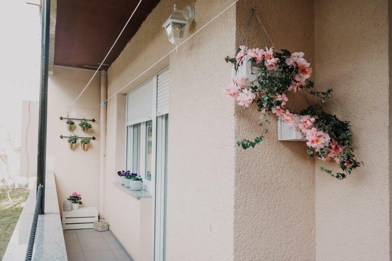 Apartman Bacchus بولا المظهر الخارجي الصورة